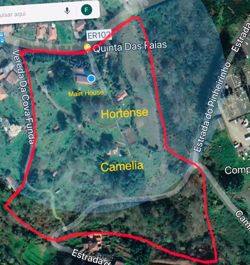 Quinta Das Faias Camacha  Luaran gambar