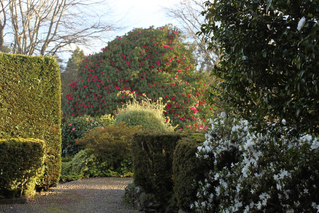 Quinta Das Faias Camacha  Luaran gambar
