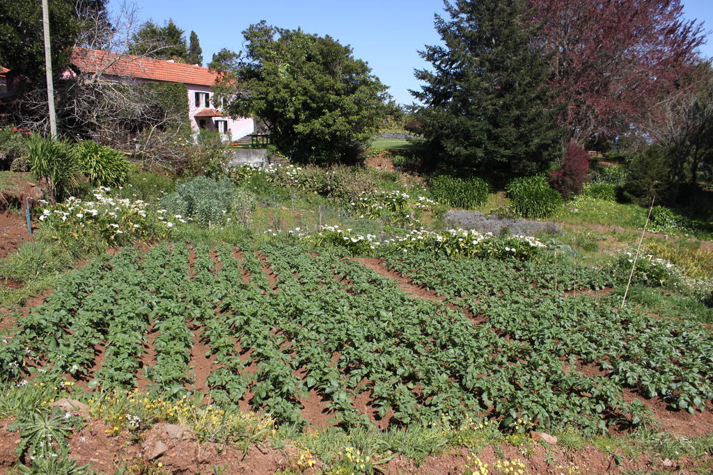 Quinta Das Faias Camacha  Luaran gambar