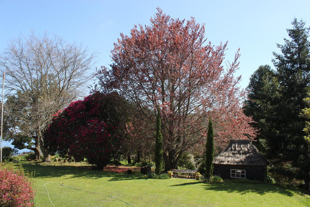 Quinta Das Faias Camacha  Luaran gambar