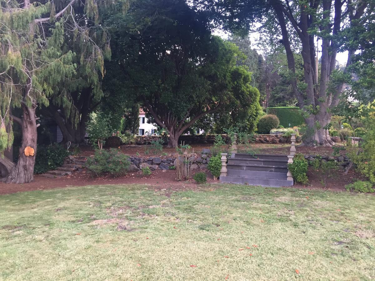 Quinta Das Faias Camacha  Luaran gambar