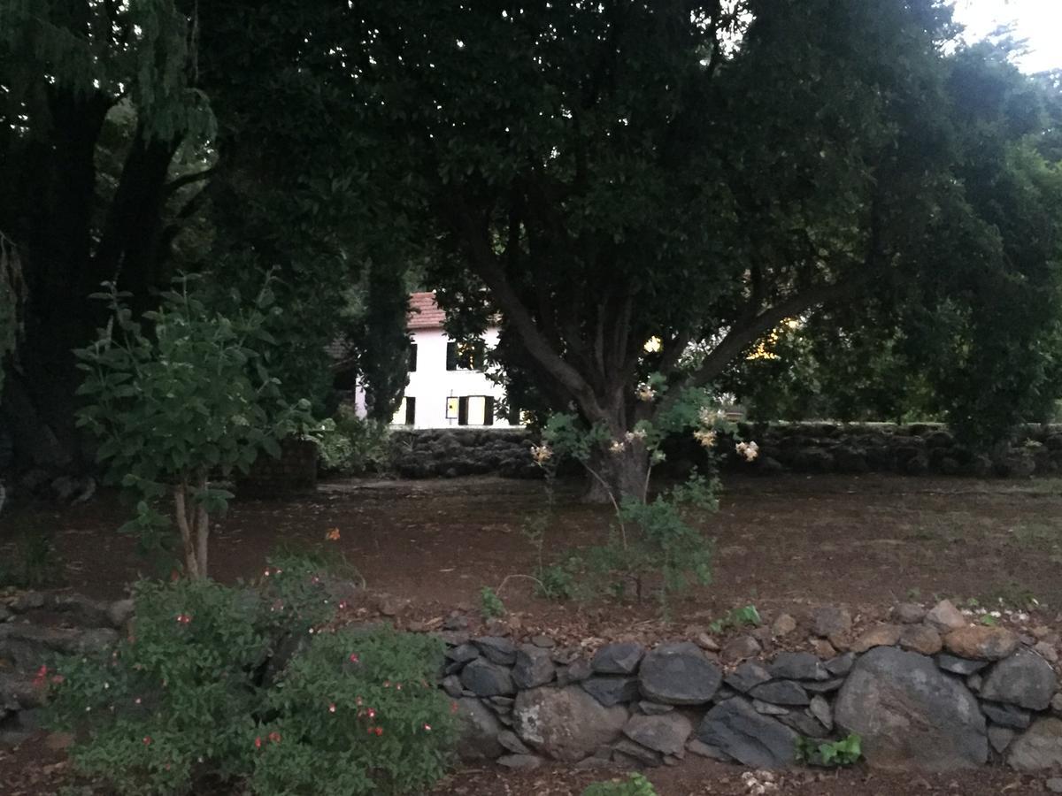 Quinta Das Faias Camacha  Luaran gambar